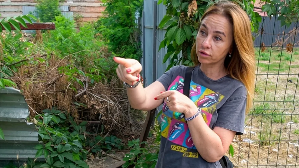 На стерилізацію собак у Кропивницькому виділили 1,6 мільйона гривень, проте вилов тимчасово призупинили: коли відновлять