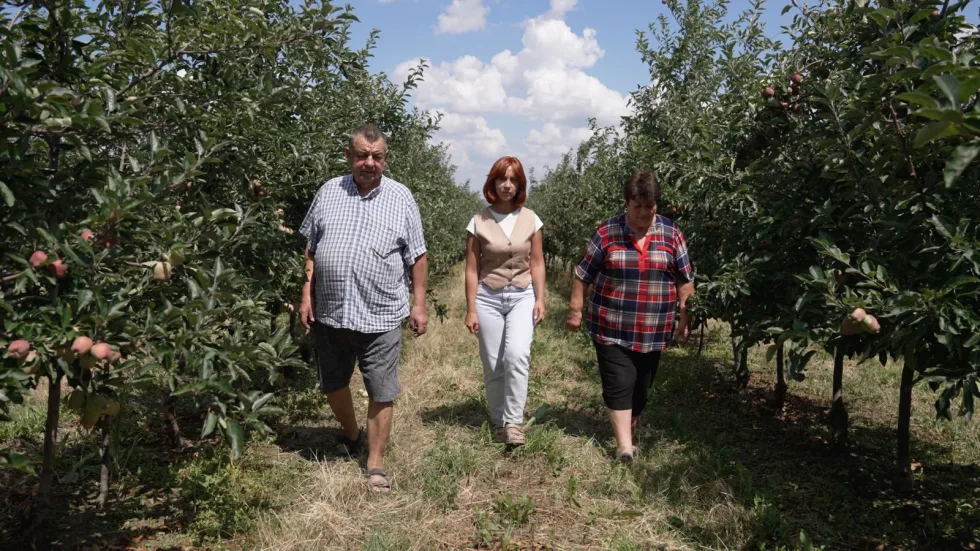 Продовжує справу батьків — займається фермерством: історія ровесниці Незалежності з Тернопільщини