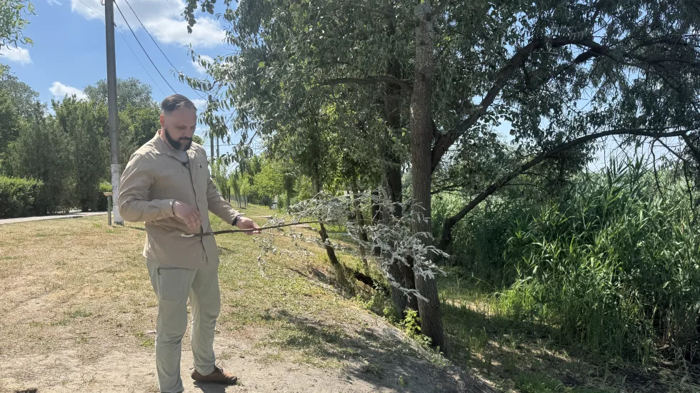 "Вони не живуть там, де погана вода". У Журавлівському гідропарку в Харкові оселилися бобри