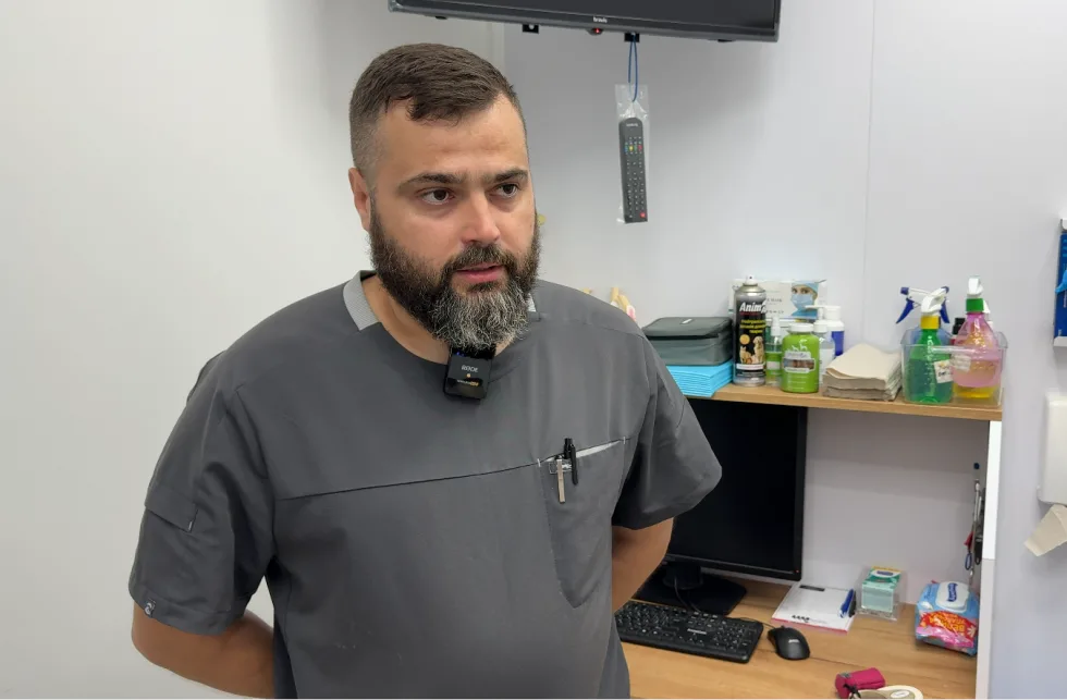 "За статистикою 30% безпритульних тварин гинуть в спеку від нестачі води": як допомогти тваринам на Хмельниччині