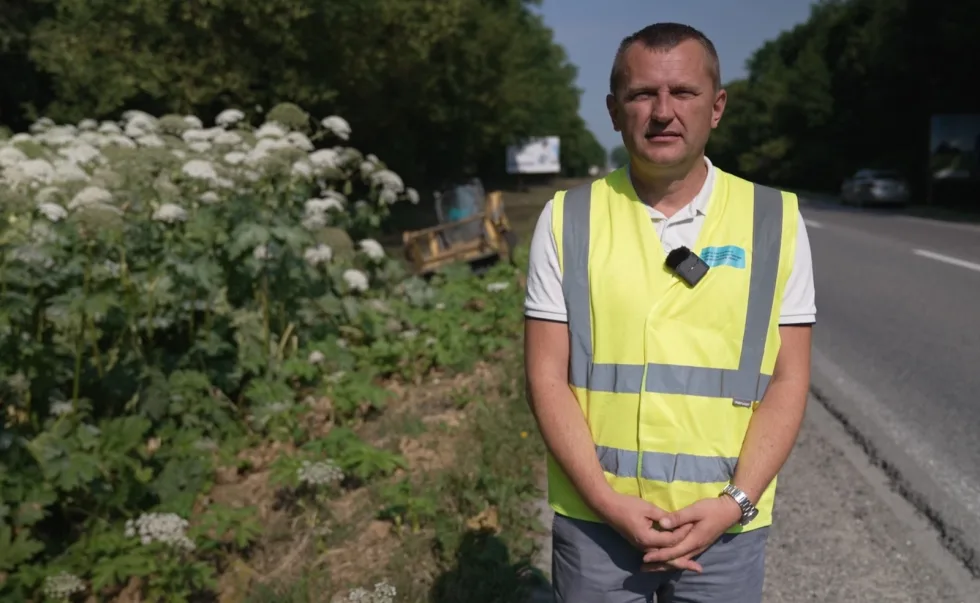 Узбіччя доріг на Тернопільщині очищують від борщівника