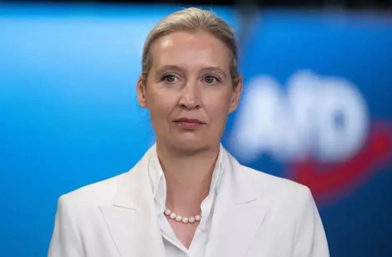 Лідерка "АдН", яка живе з жінкою, відповіла на маніфест своєї партії щодо "традиційної сім'ї"