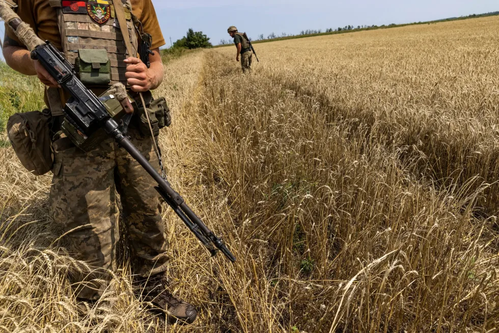NYT: Світові експортери зерна потерпають від війни, посухи та торговельних суперечок