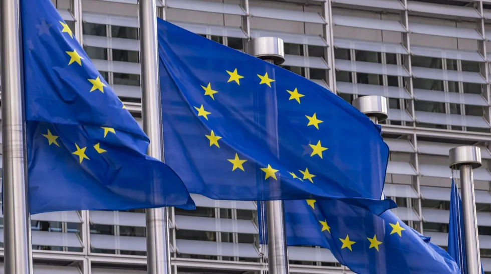 У Європарламенті показали текст резолюції, де Україну критикують за назву на честь героїв УПА