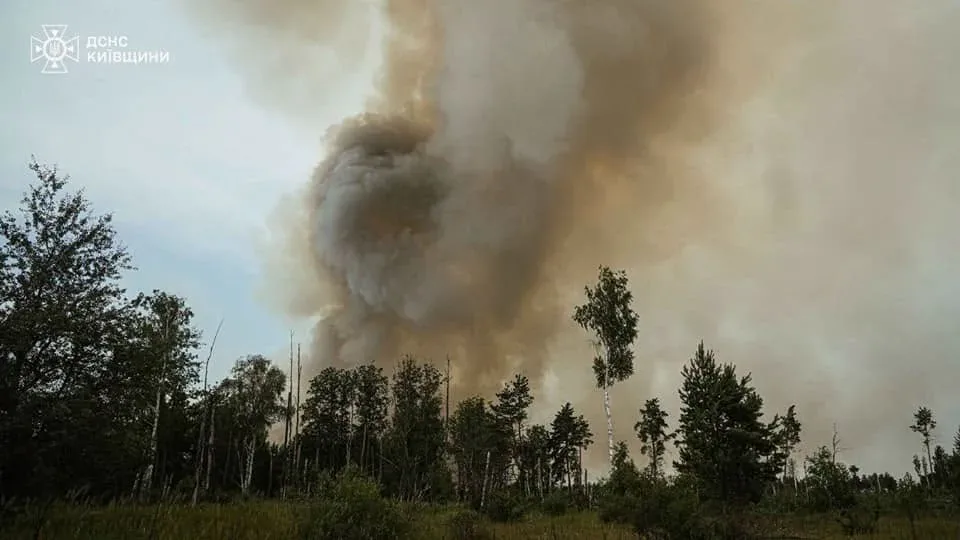 Найбільші лісові пожежі наразі на Чернігівщині та Харківщині, за два дні загасили ще 24 - "Ліси України"