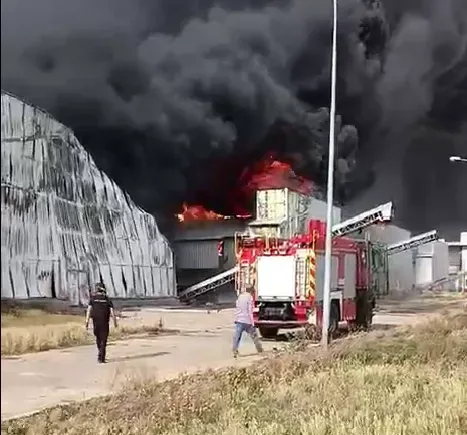 Ворог ударив КАБами по найбільшій в Європі птахофабриці "Чорнобаївська", спалахнула масштабна пожежа