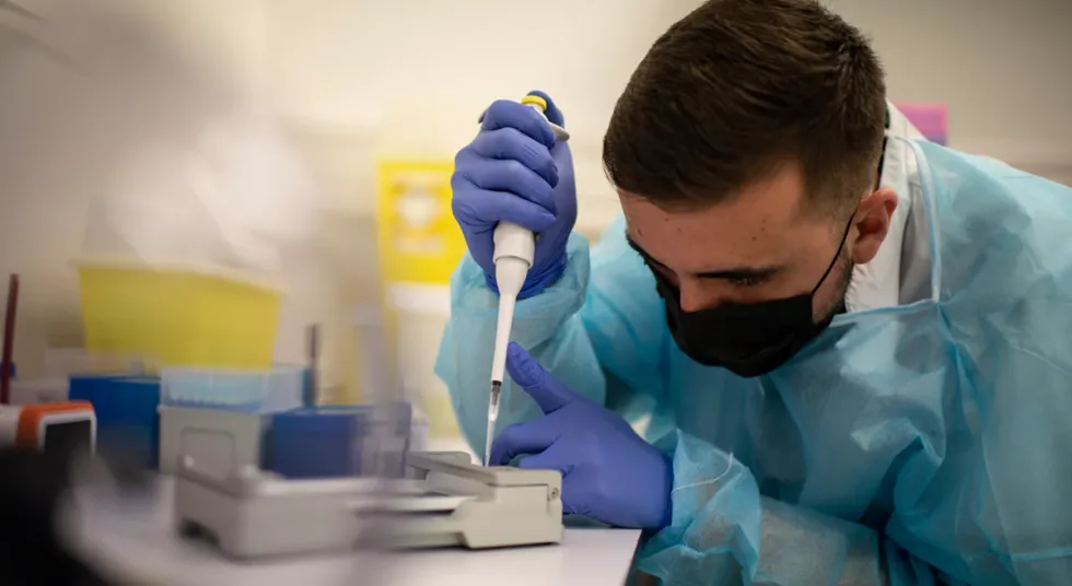Австралія підтвердила перший випадок H5N1 у місцевого морського птаха